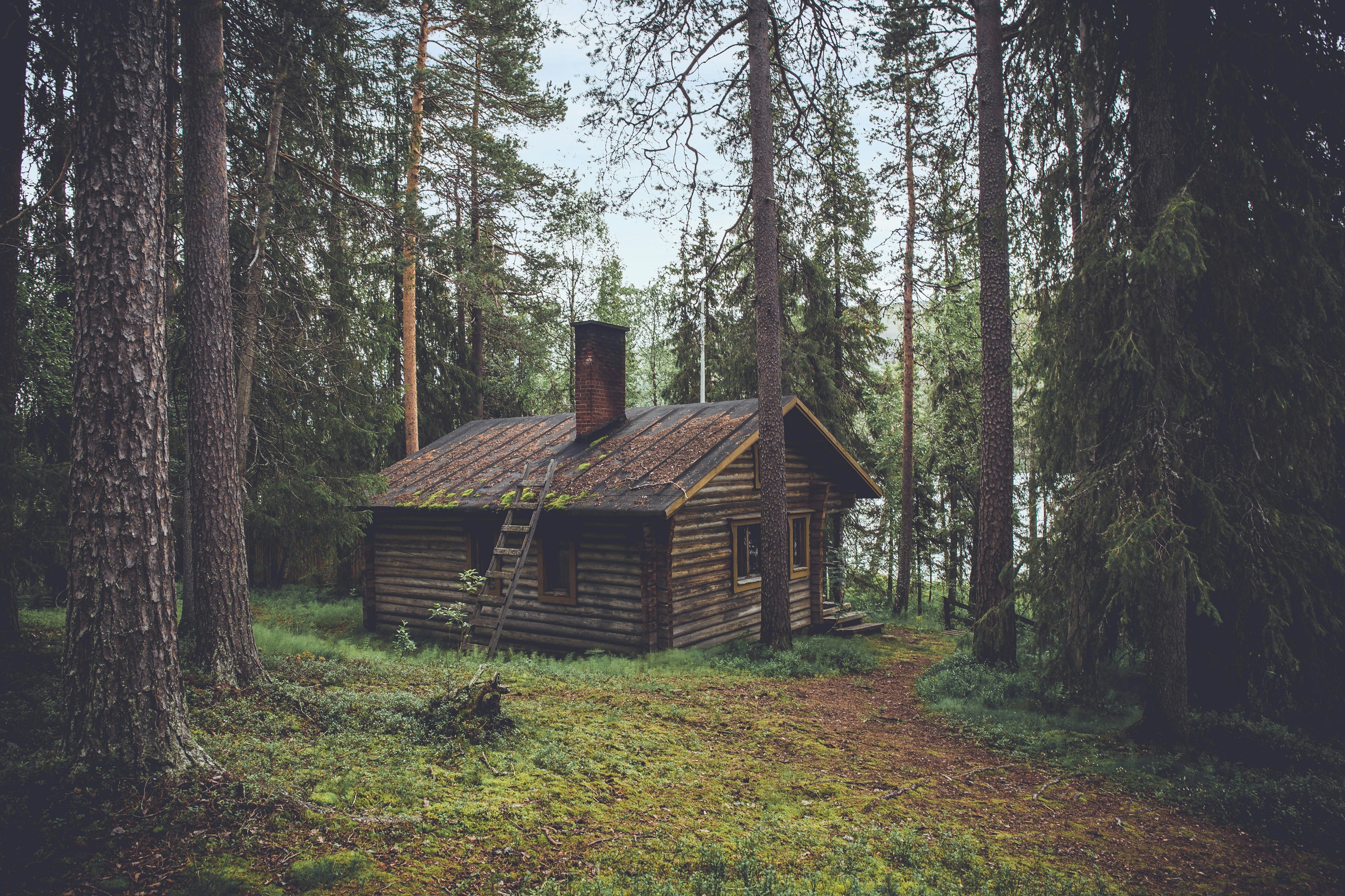 https://pangnefcwfrqabunymsx.supabase.co/storage/v1/object/public/images/d442637e-8e93-45fd-9bf4-a275f7a20a67/0.jpg